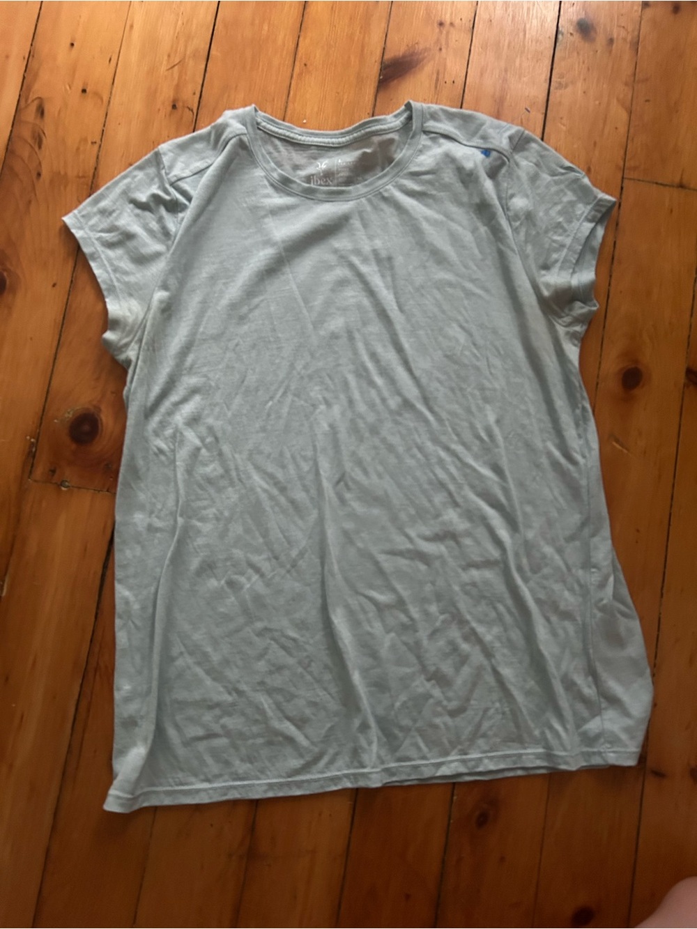 Ibex women’s journey short sleeve crew shirt Zenith large blue
